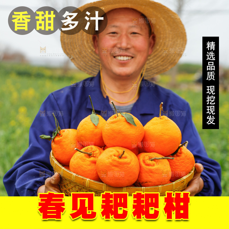 手里拿着耙耙柑