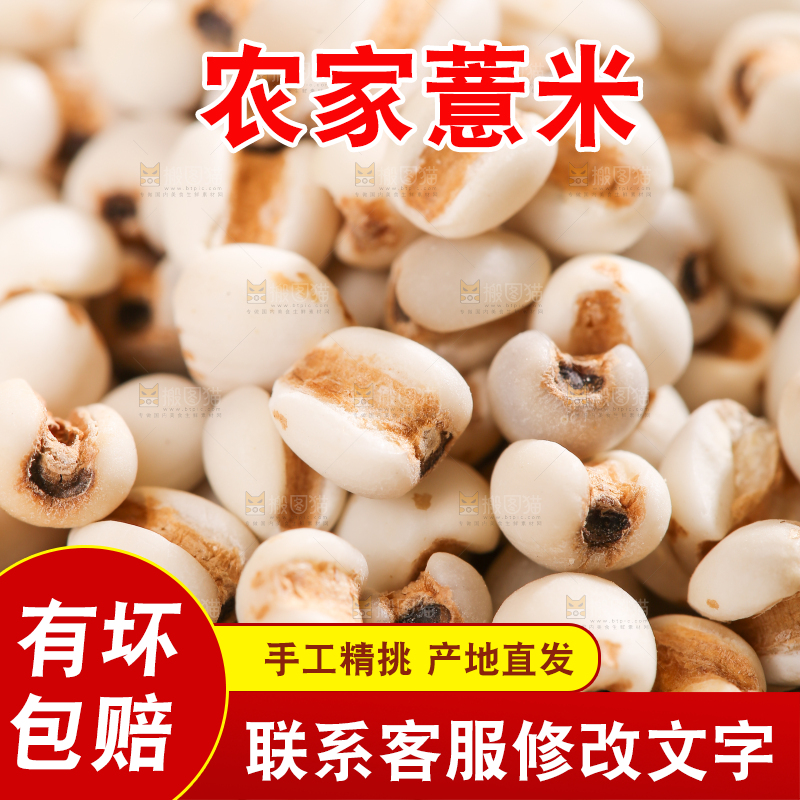 浅底上的薏米仁