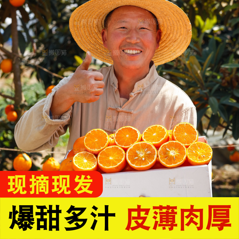 手里拿着沃柑