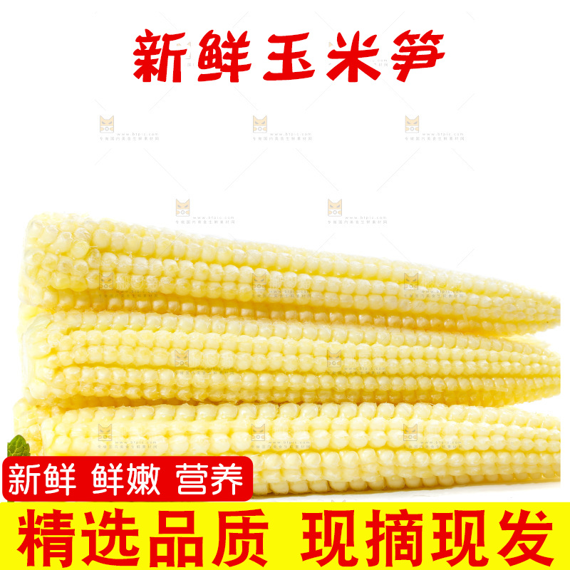 白底上的珍珠笋