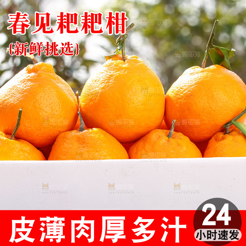 草地上的耙耙柑