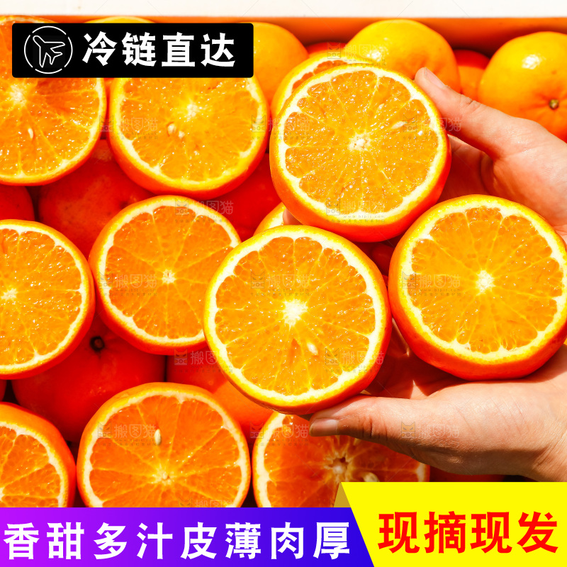 堆放着的新鲜沃柑