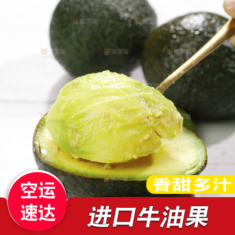 浅底上的巨无霸牛油果