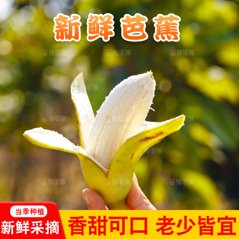 手里拿着广西芭蕉