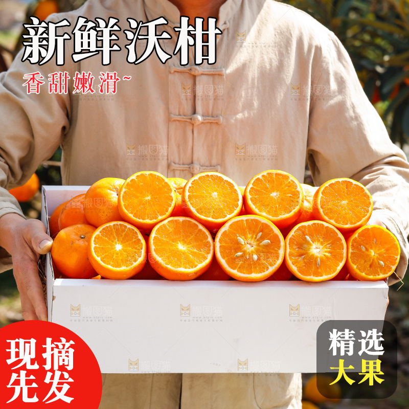 手里拿着沃柑
