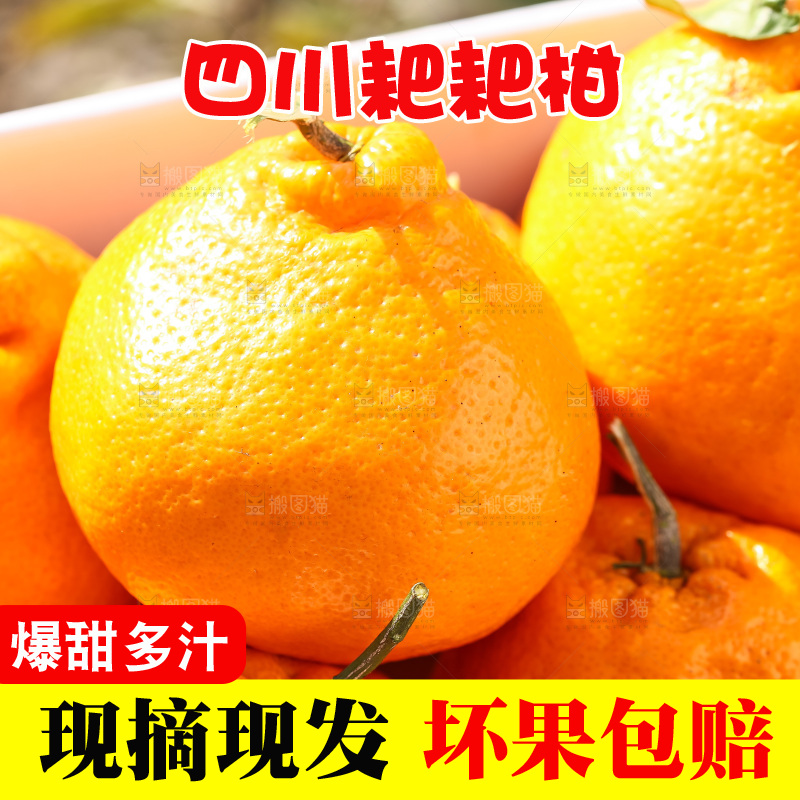 草地上的耙耙柑