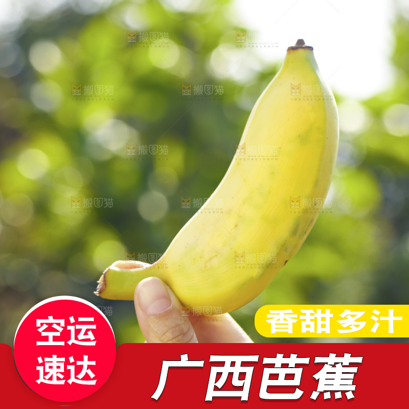 手里拿着广西芭蕉