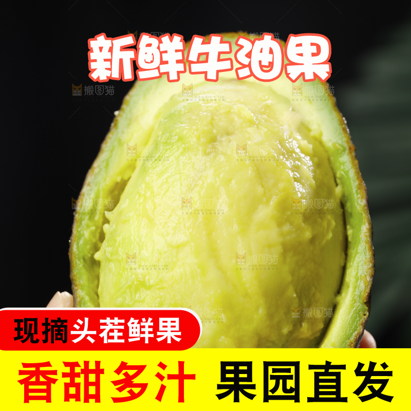 浅底上的巨无霸牛油果