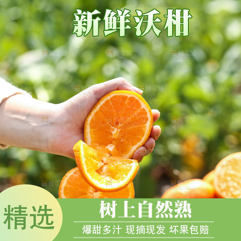 手里拿着新鲜沃柑
