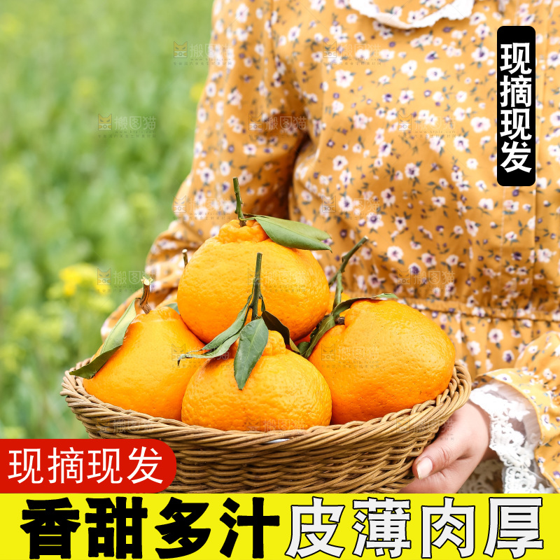 手里拿着丑八怪