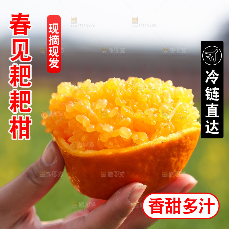 草地上的耙耙柑