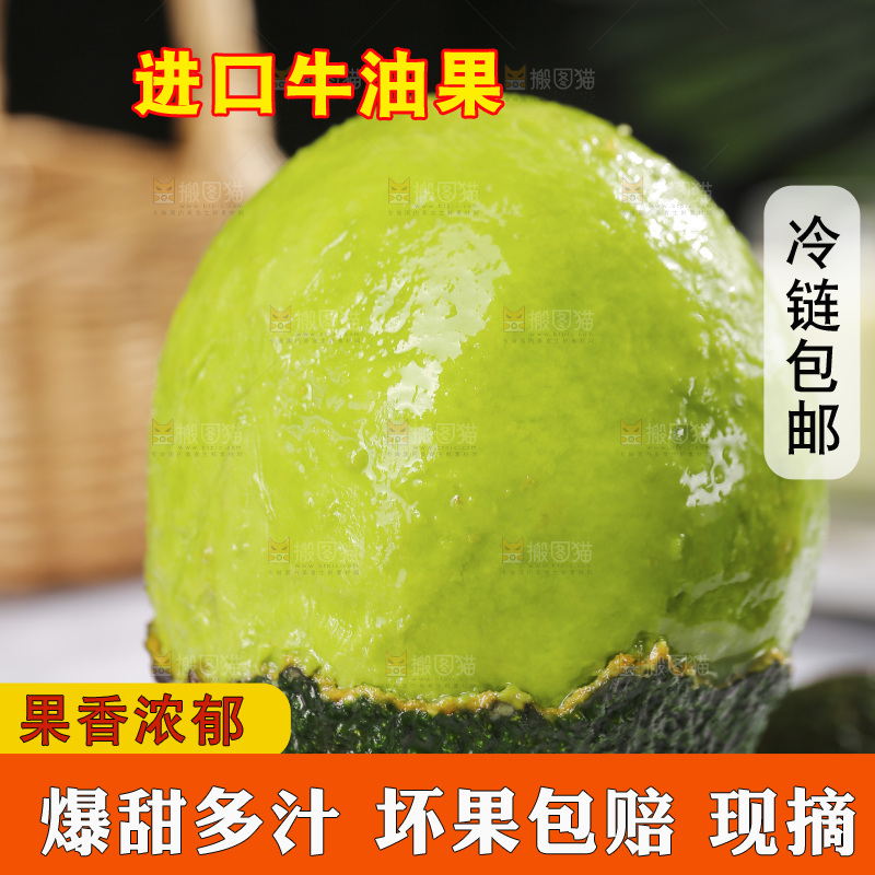 浅底上的巨无霸牛油果