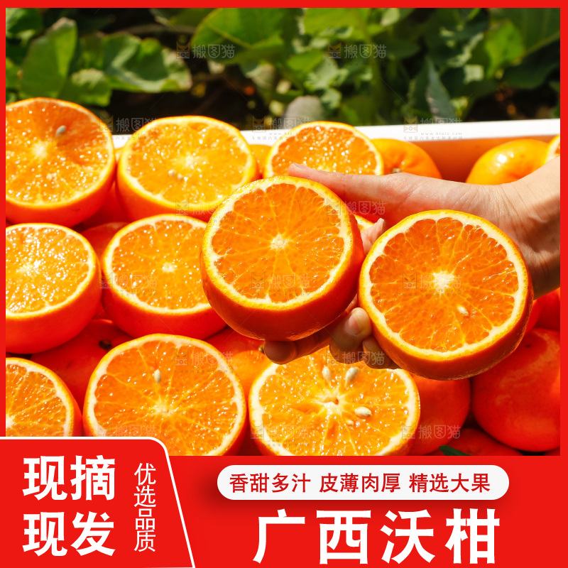 堆放着的新鲜沃柑