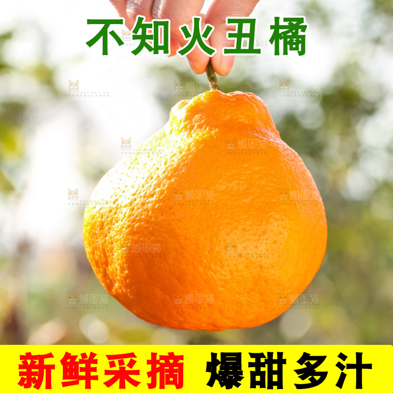 手里拿着丑八怪