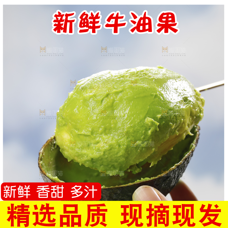 浅底上的巨无霸牛油果