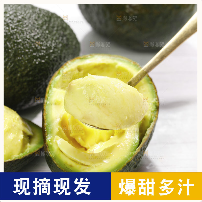 浅底上的巨无霸牛油果