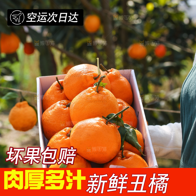 手里拿着丑八怪