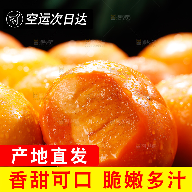 深底上的巧克力脆柿