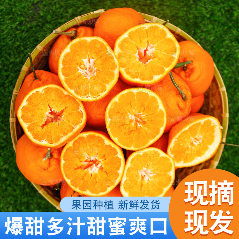 手里拿着耙耙柑