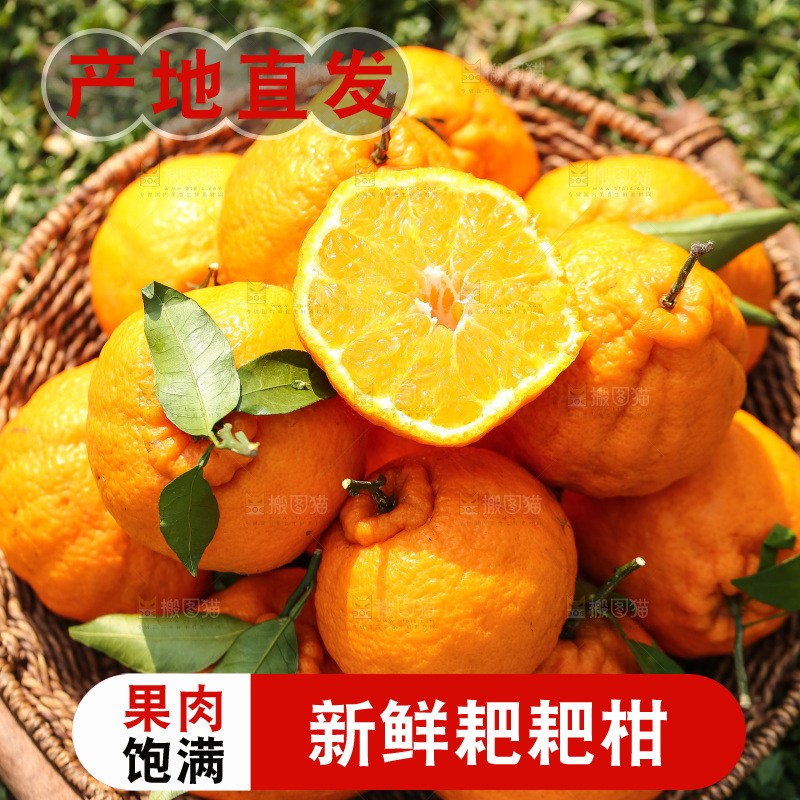 草地上的耙耙柑