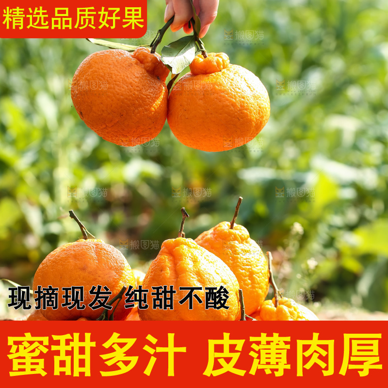 手里拿着丑八怪