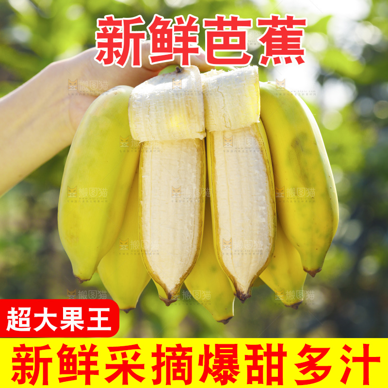 手里拿着广西芭蕉