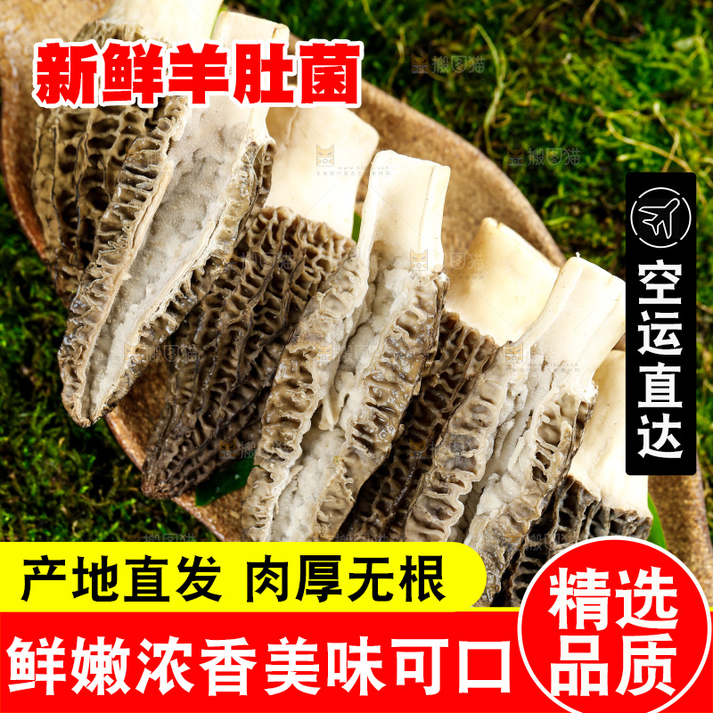 深底上的羊肚菌