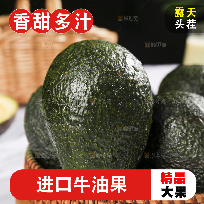 浅底上的巨无霸牛油果