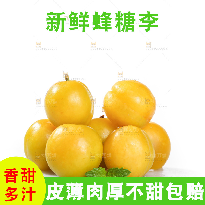 白底上的蜂糖李