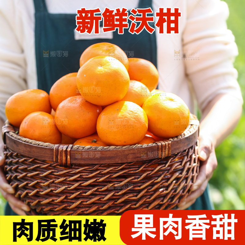 手里拿着新鲜沃柑