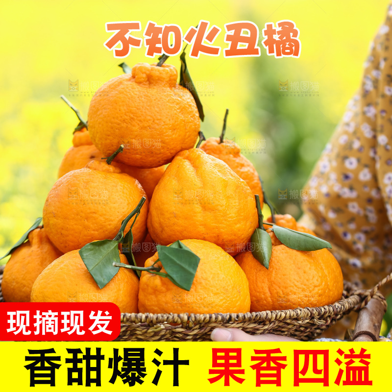 手里拿着丑八怪