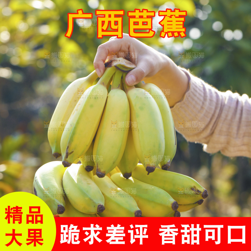 手里拿着广西芭蕉