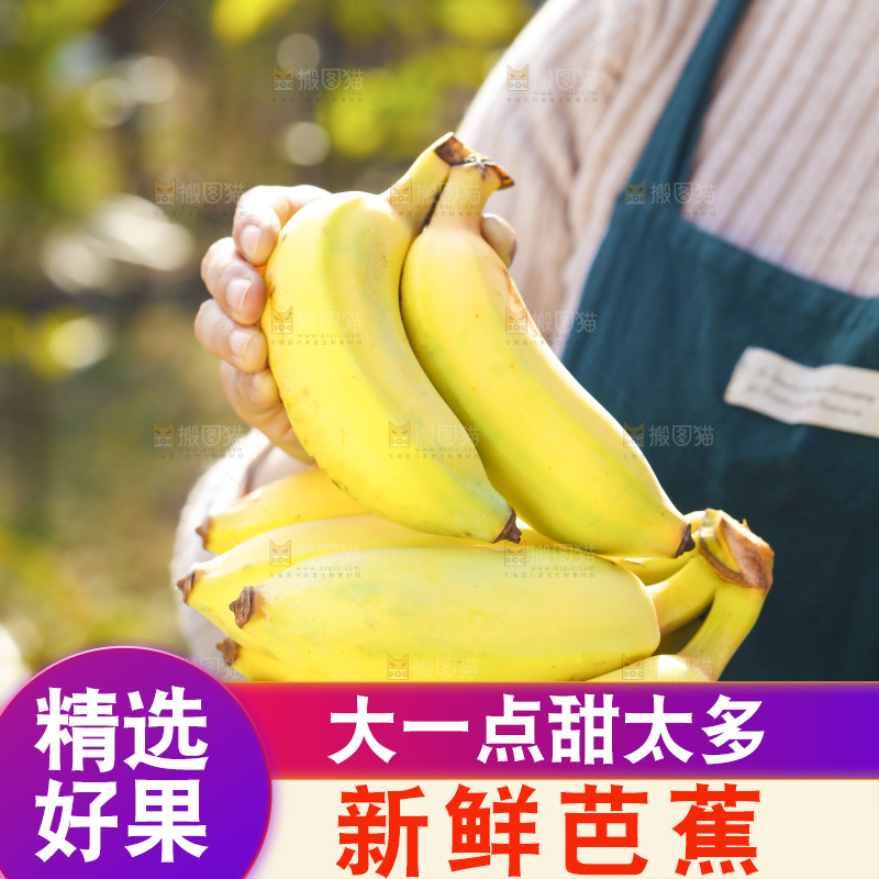 手里拿着广西芭蕉