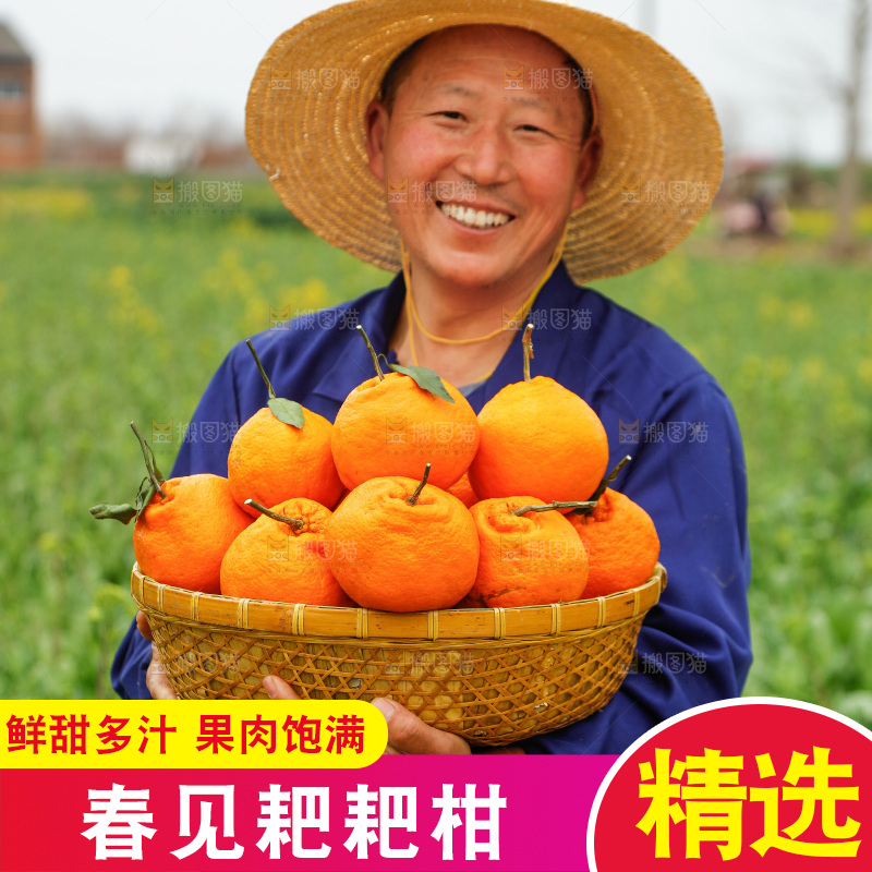 手里拿着耙耙柑