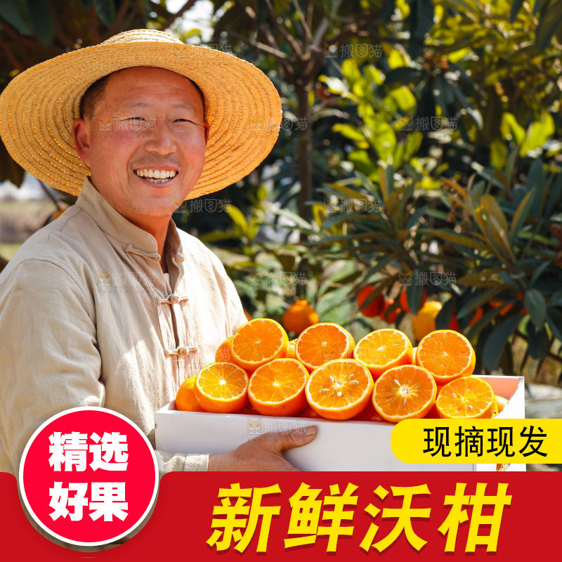 手里拿着沃柑