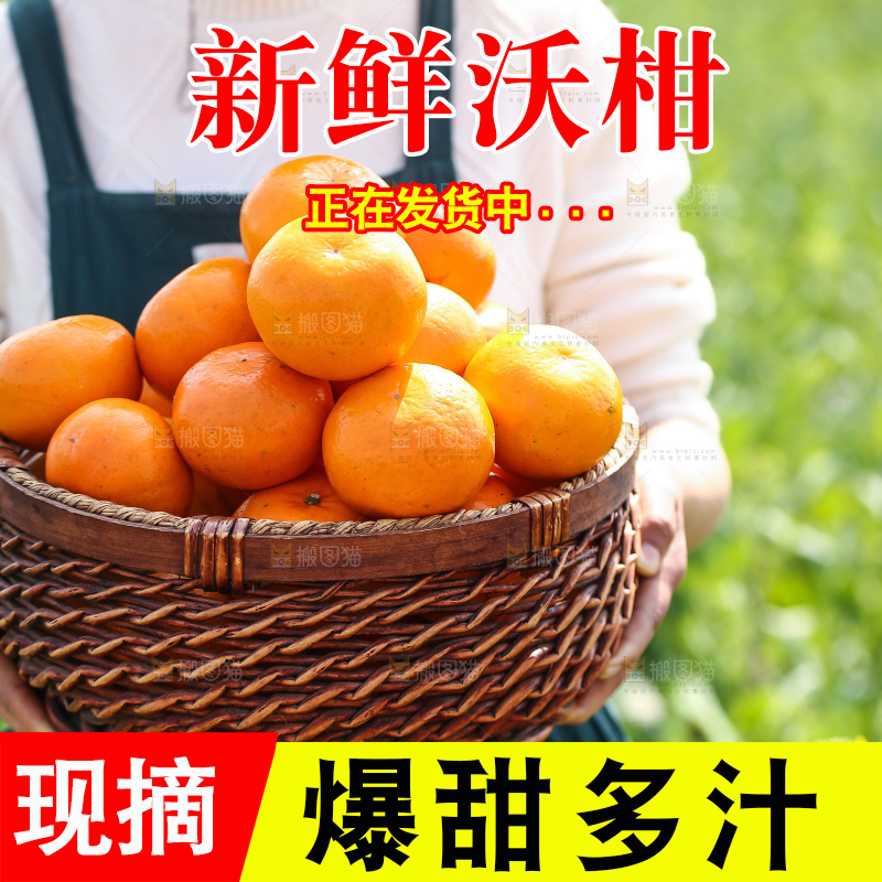 手里拿着新鲜沃柑