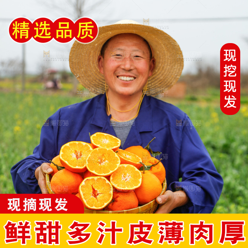 手里拿着耙耙柑