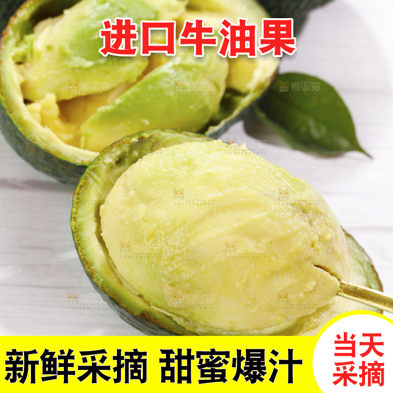 浅底上的巨无霸牛油果
