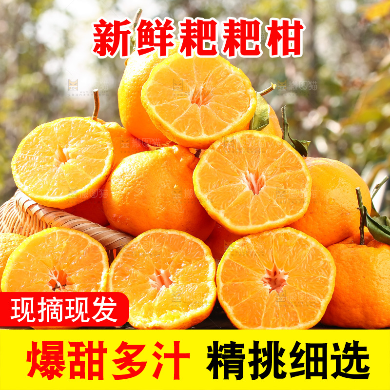 草地上的耙耙柑