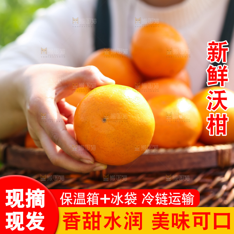 手里拿着新鲜沃柑
