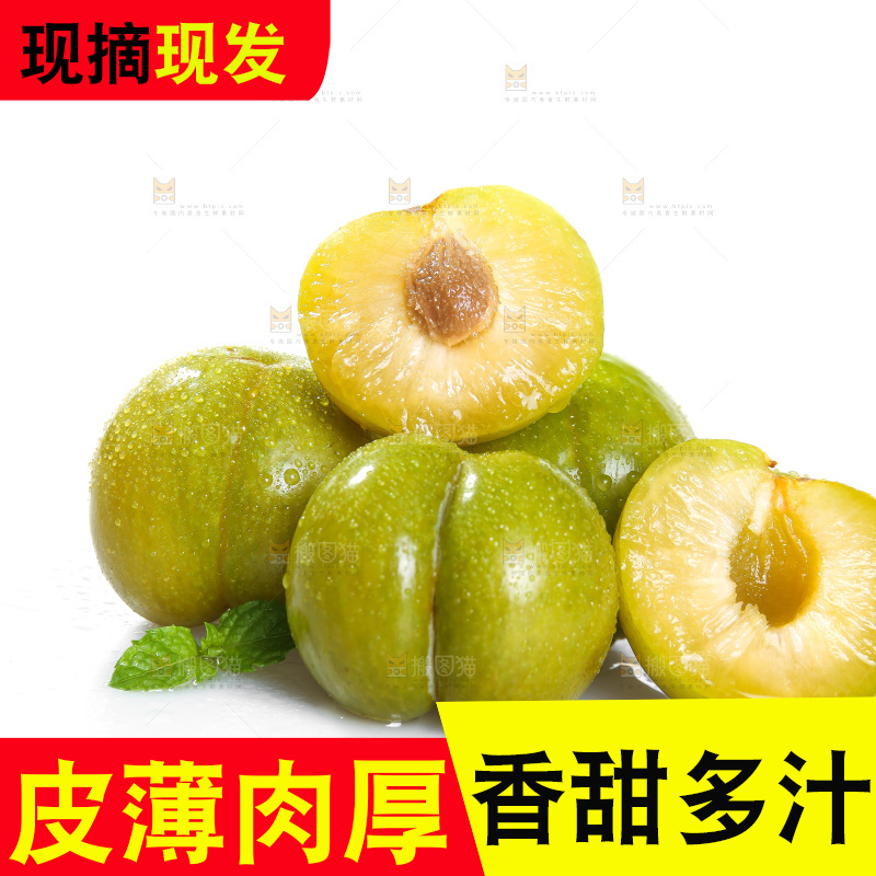 白底上的蜂糖李