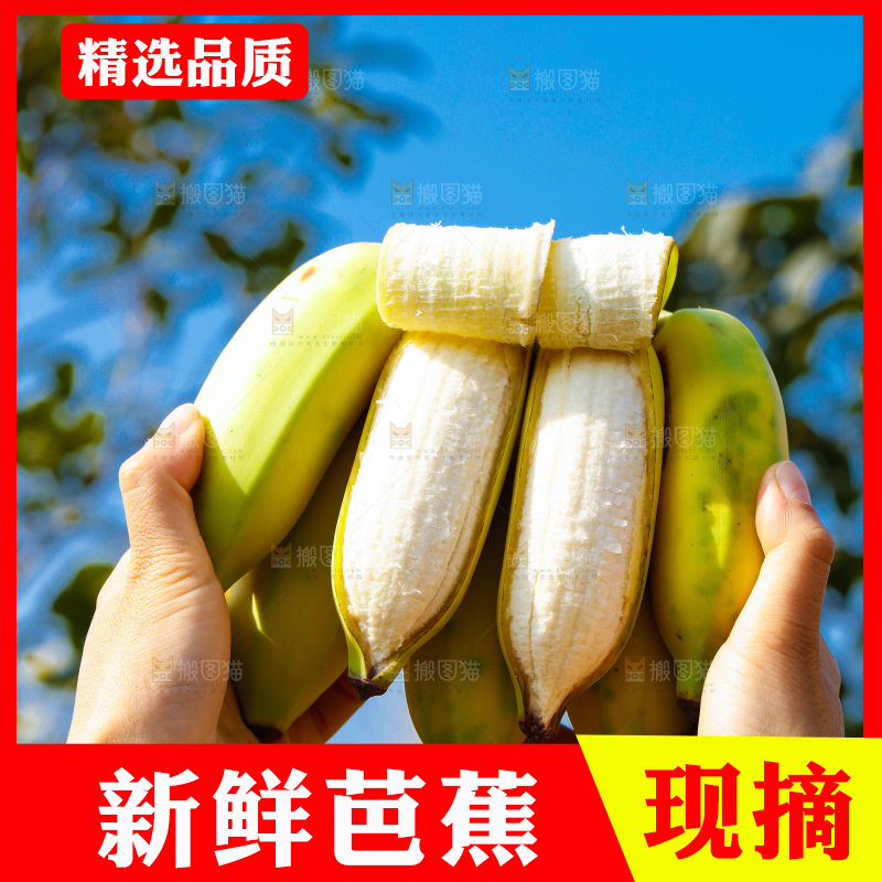 手里拿着广西芭蕉
