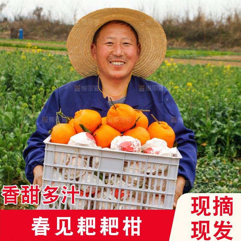 手里拿着耙耙柑