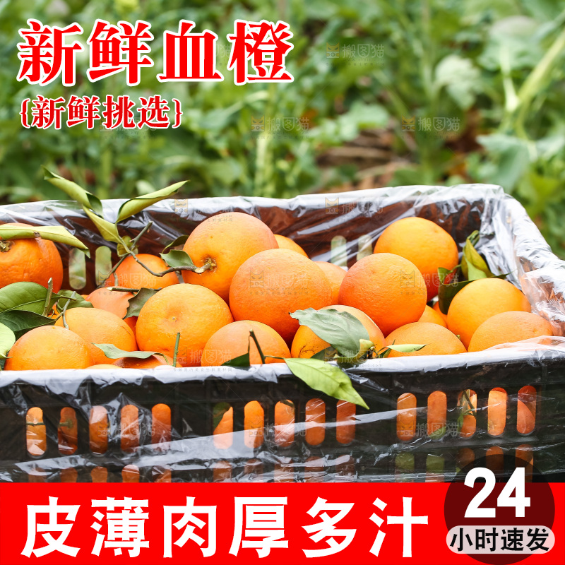 堆放着的血橙