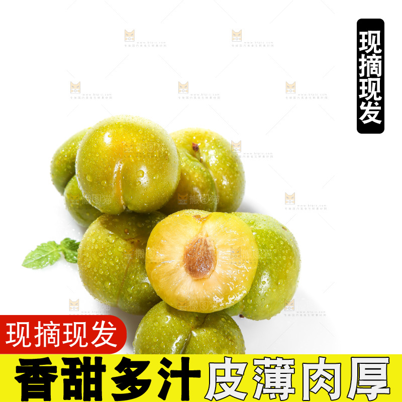 白底上的蜂糖李