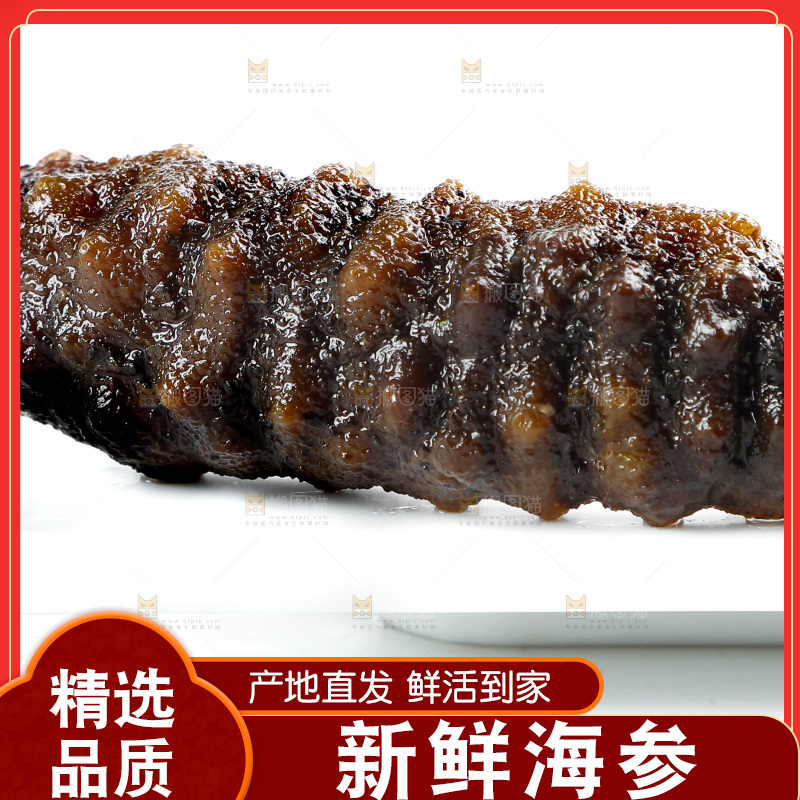 白底上的海参