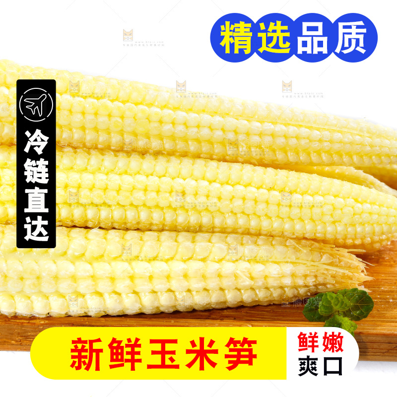 白底上的珍珠笋