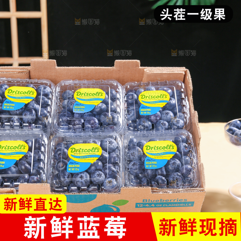 浅底上的新鲜蓝莓