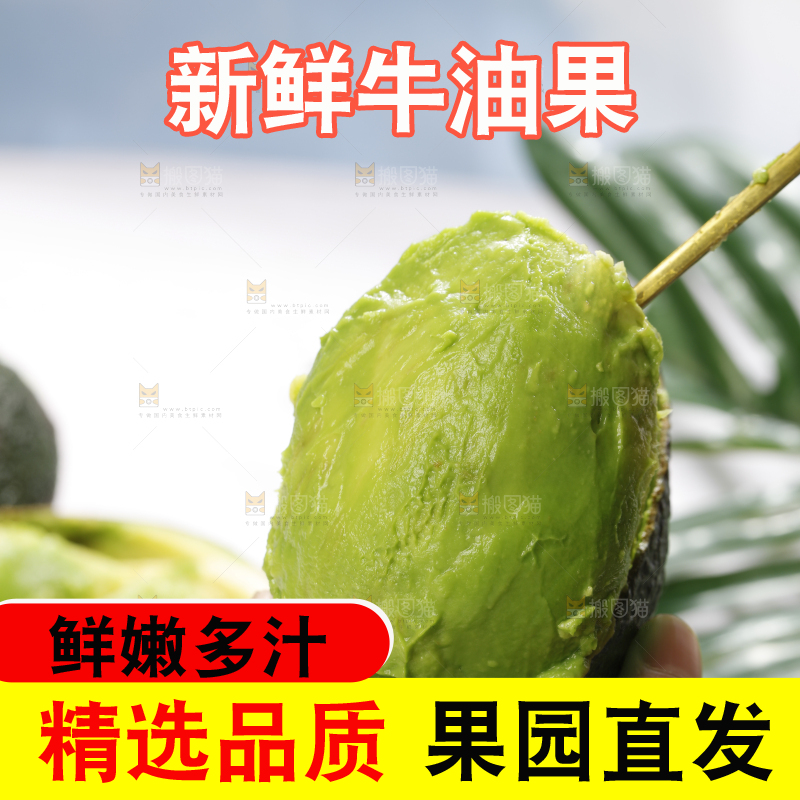 浅底上的巨无霸牛油果
