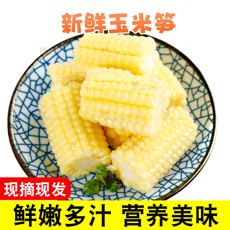 白底上的珍珠笋